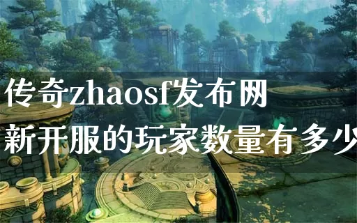 传奇zhaosf发布网新开服的玩家数量有多少？_https://www.chinaopu.com_刚开一秒_第1张